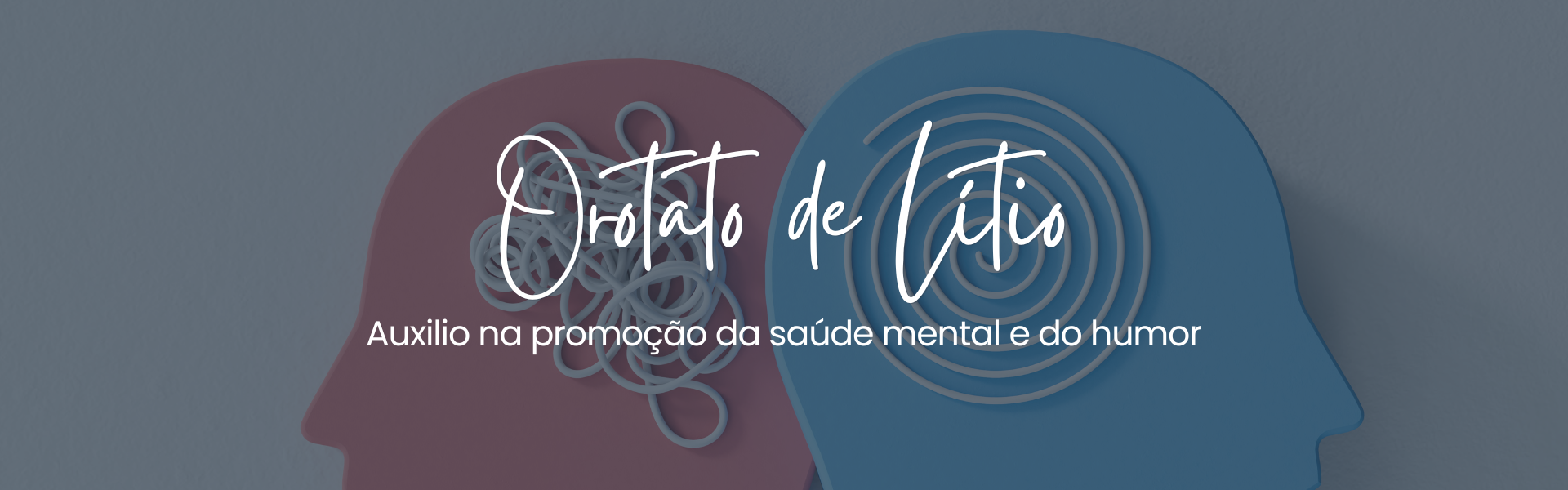 Mentes em paralelo, sendo uma organizada e outra bagunçada